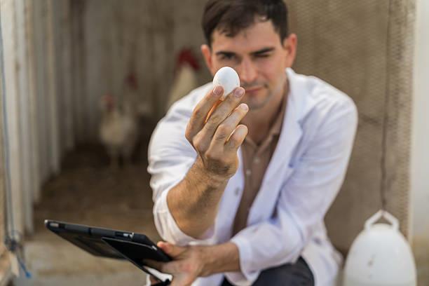 Ni 1 ni media docena: la cantidad de huevos que debes comer por día para mejorar la salud del cerebro