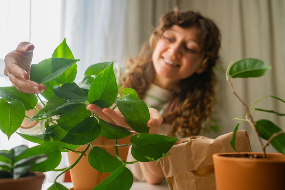 Feng Shui: cuáles son las plantas que atraen mala suerte