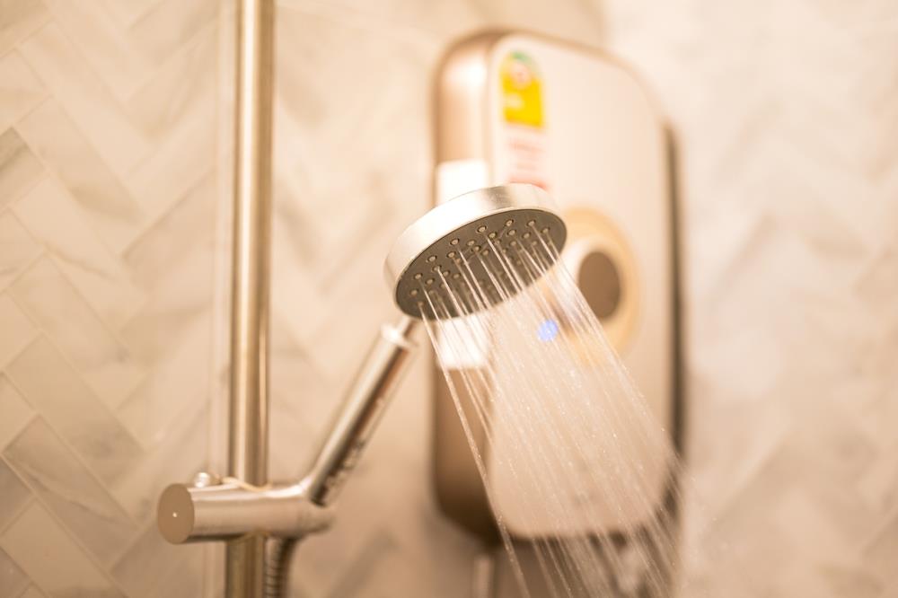 Qué significa y para qué sirve colgar una rama de eucalipto en la ducha 