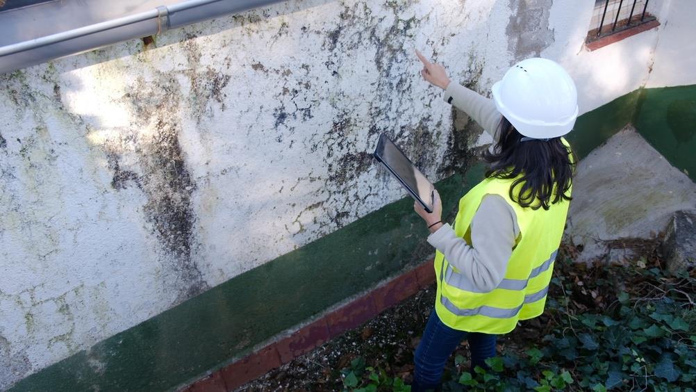Paredes que transpiran: el fenómeno que se puede presentar en tu hogar y representa un grave problema estructural