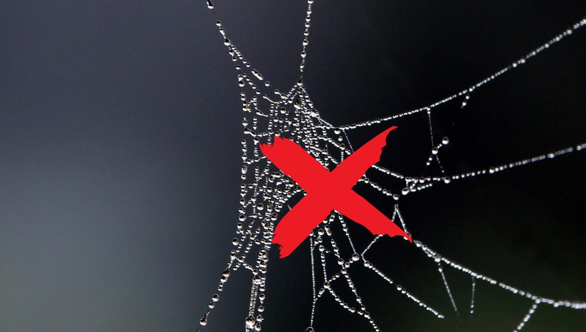 Cómo eliminar las plagas de telarañas en el interior de tu casa